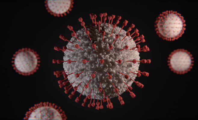 В Чехии обнаружена индийская мутация коронавируса