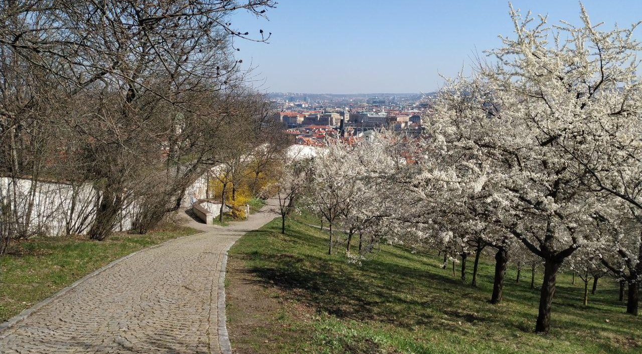 Усиление мер и потепление в Праге